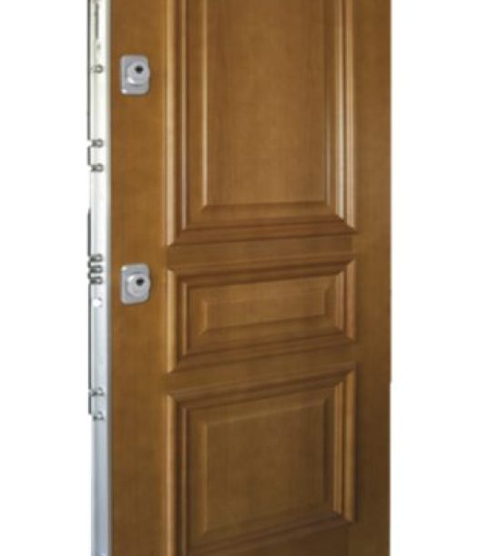 puerta-acorazada-eurosegur-grado-30-basic-oqhp65onfy1ggd2z3j9bdbr7cte4ppy8ln2caad8mg