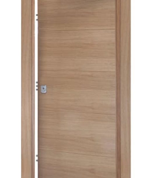 puerta de alta seguridad (1)